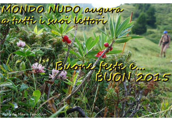 Immagine utente
